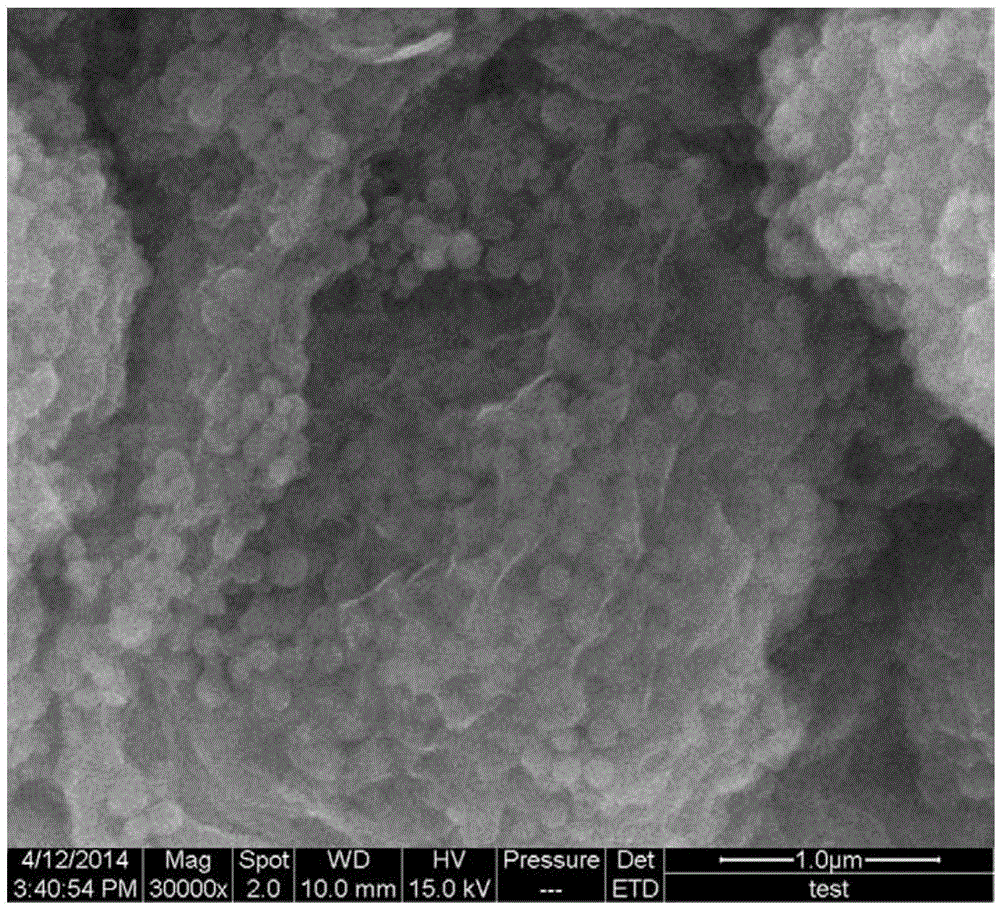 Preparation method of double-modified SnO&lt;2&gt;@C/graphene nano composite anode material