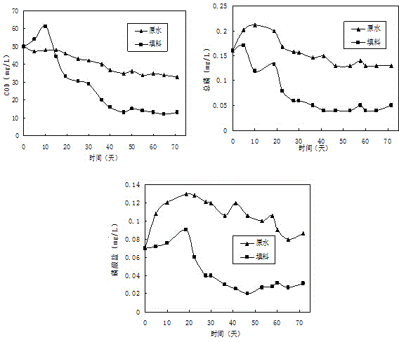 Multi-channel efficient biological filler and preparation method and application thereof