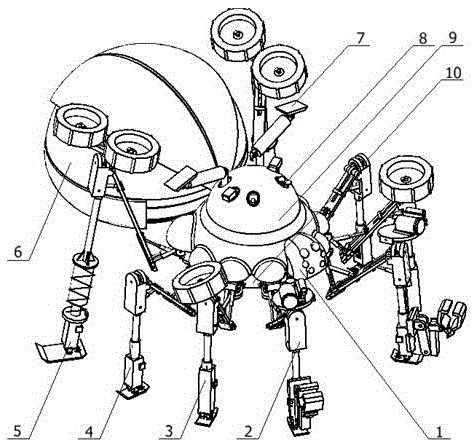 Deformable bionic search and rescue robot