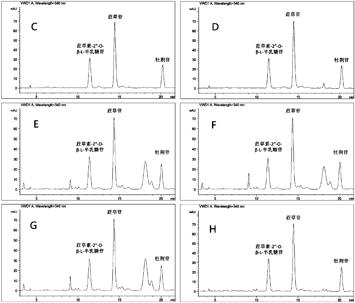 Choline eutectic solvents, preparation method and application in extraction of flavone C-glycoside of flos trollii