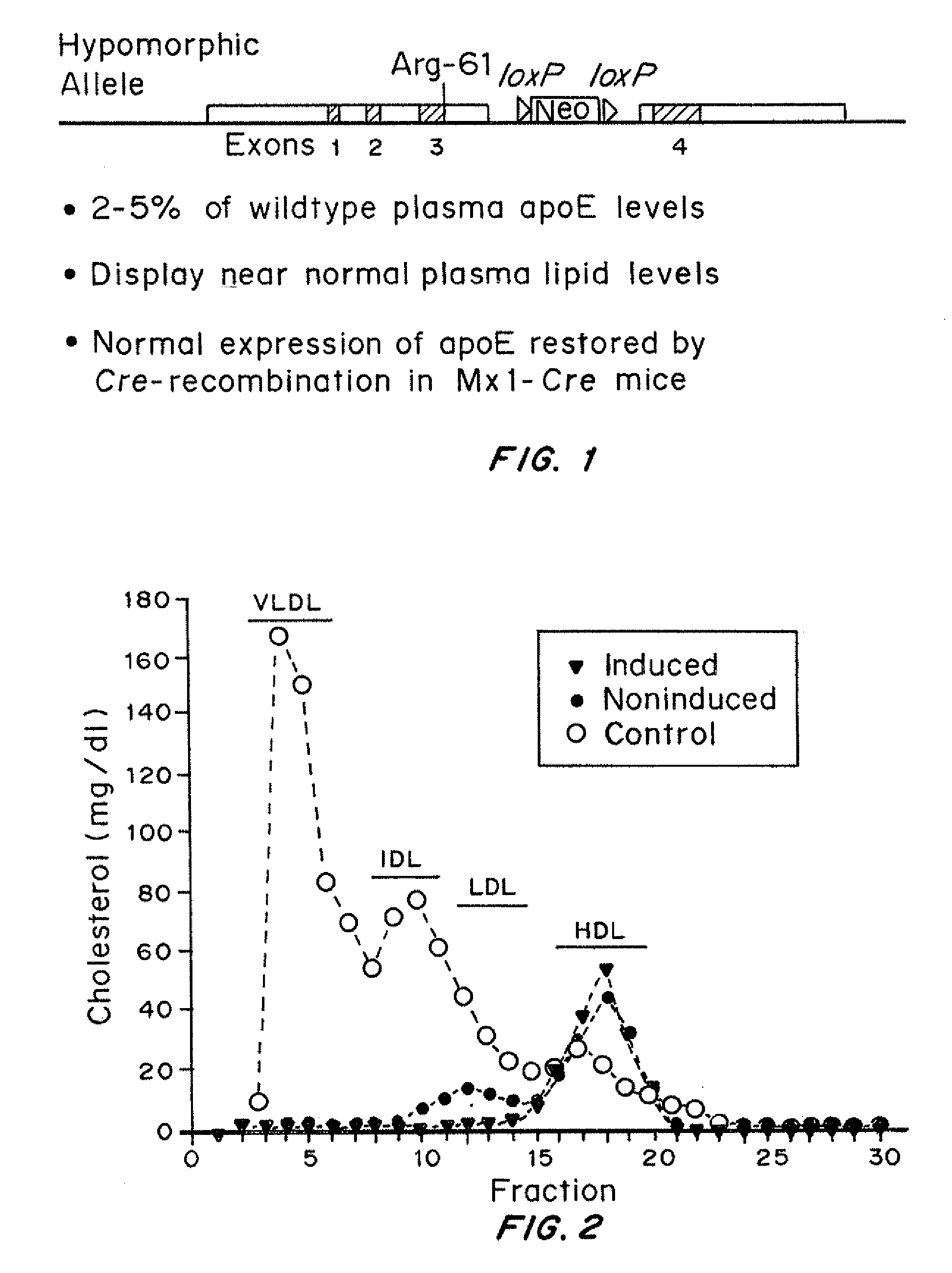 Mouse model of chronic heart failure and coronary atherosclerosis regression