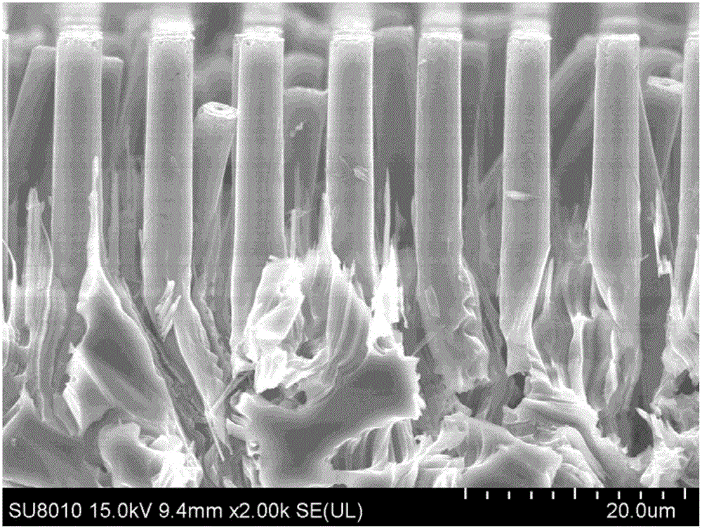 Preparation technology of silicon micro wire array