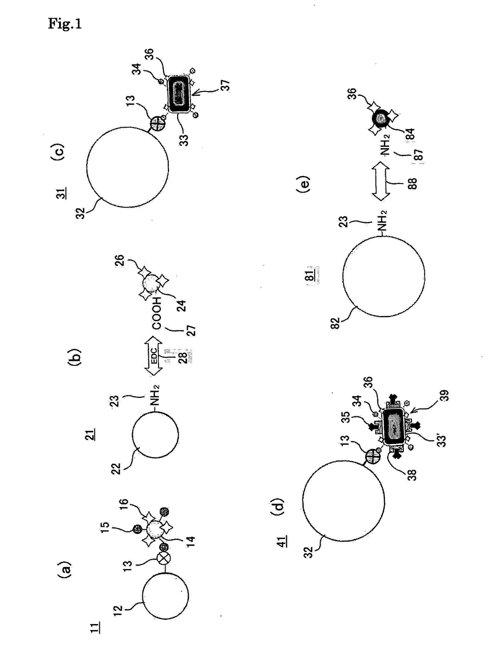 Magnetic particle holding carrier and method for preparing the same