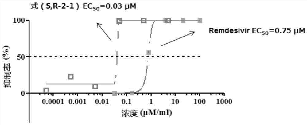 Application of alkaloids or salts thereof in anti-coronavirus