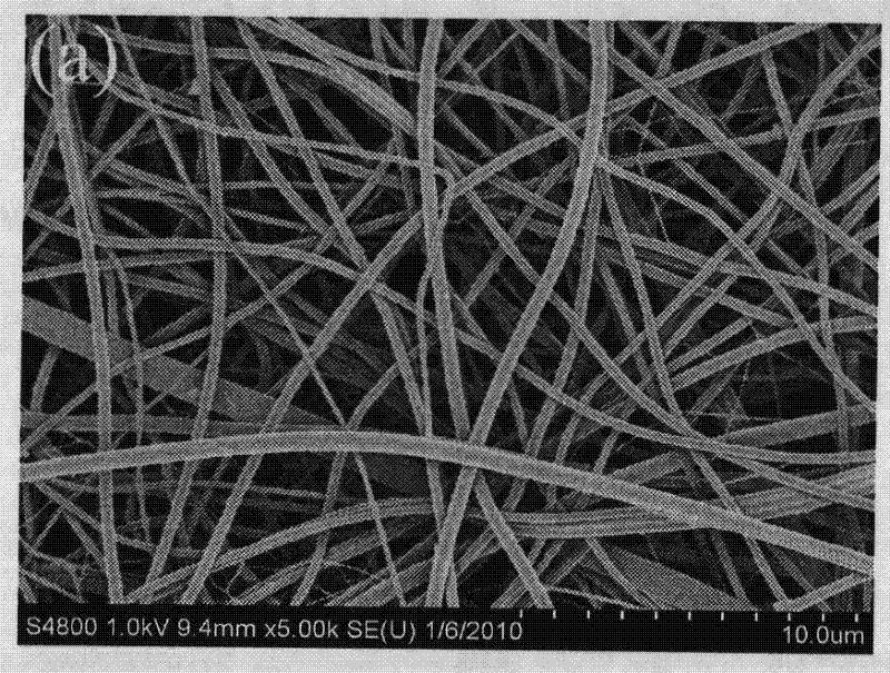 Method for preparing porous magnetic and catalytic double-functional one-dimensional composite material