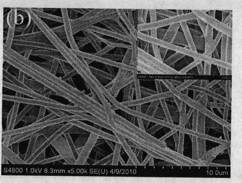 Method for preparing porous magnetic and catalytic double-functional one-dimensional composite material