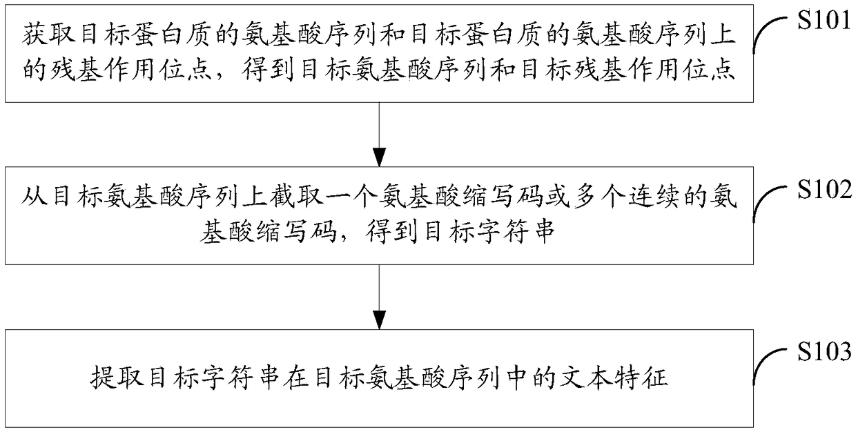 Protein feature extraction method, functional model generation method, function prediction method and corresponding devices