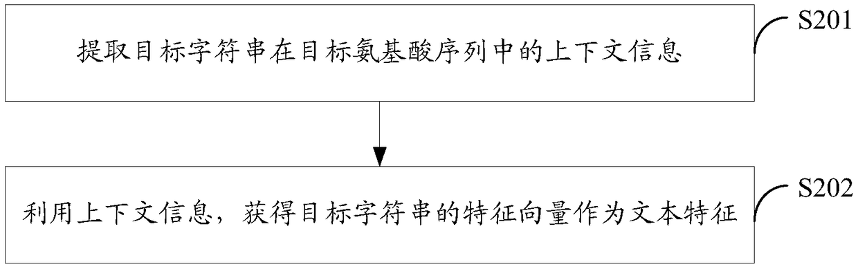 Protein feature extraction method, functional model generation method, function prediction method and corresponding devices