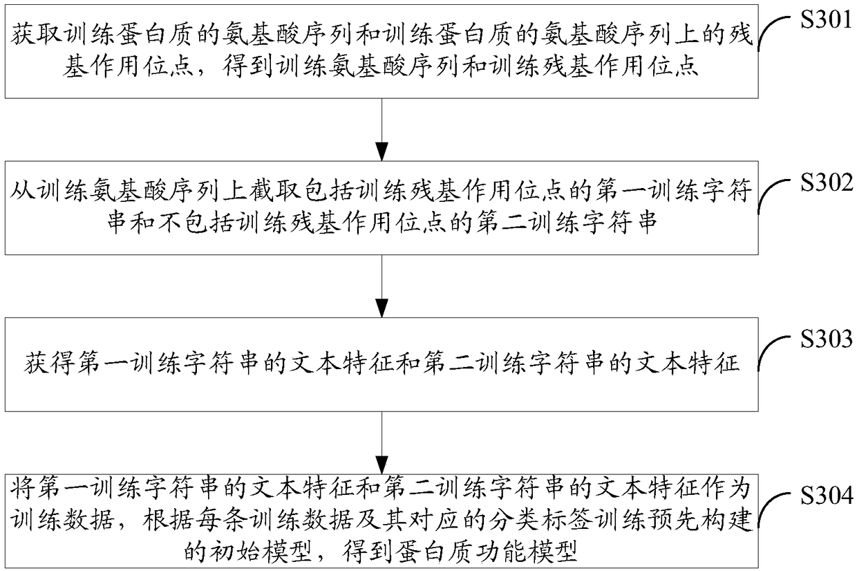 Protein feature extraction method, functional model generation method, function prediction method and corresponding devices