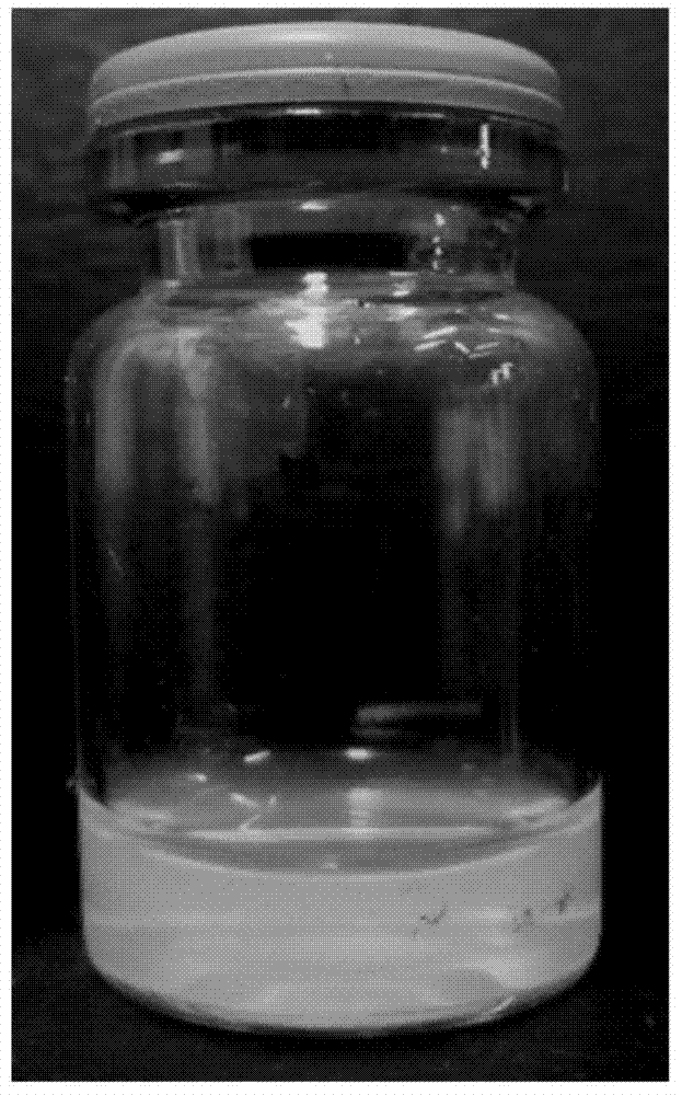 Lipid nanosuspension containing clevidipine butyrate, and freeze-drying preparation of lipid nanosuspension