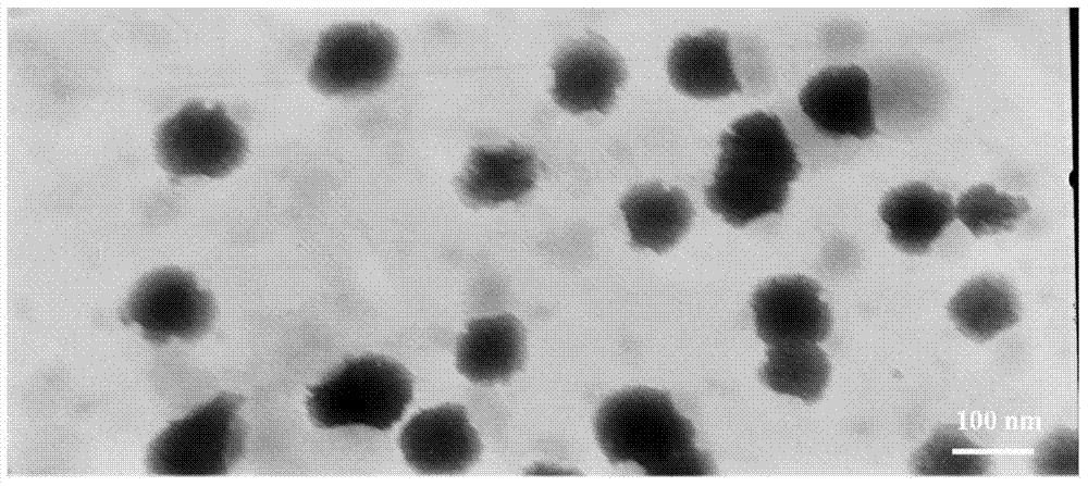 Lipid nanosuspension containing clevidipine butyrate, and freeze-drying preparation of lipid nanosuspension