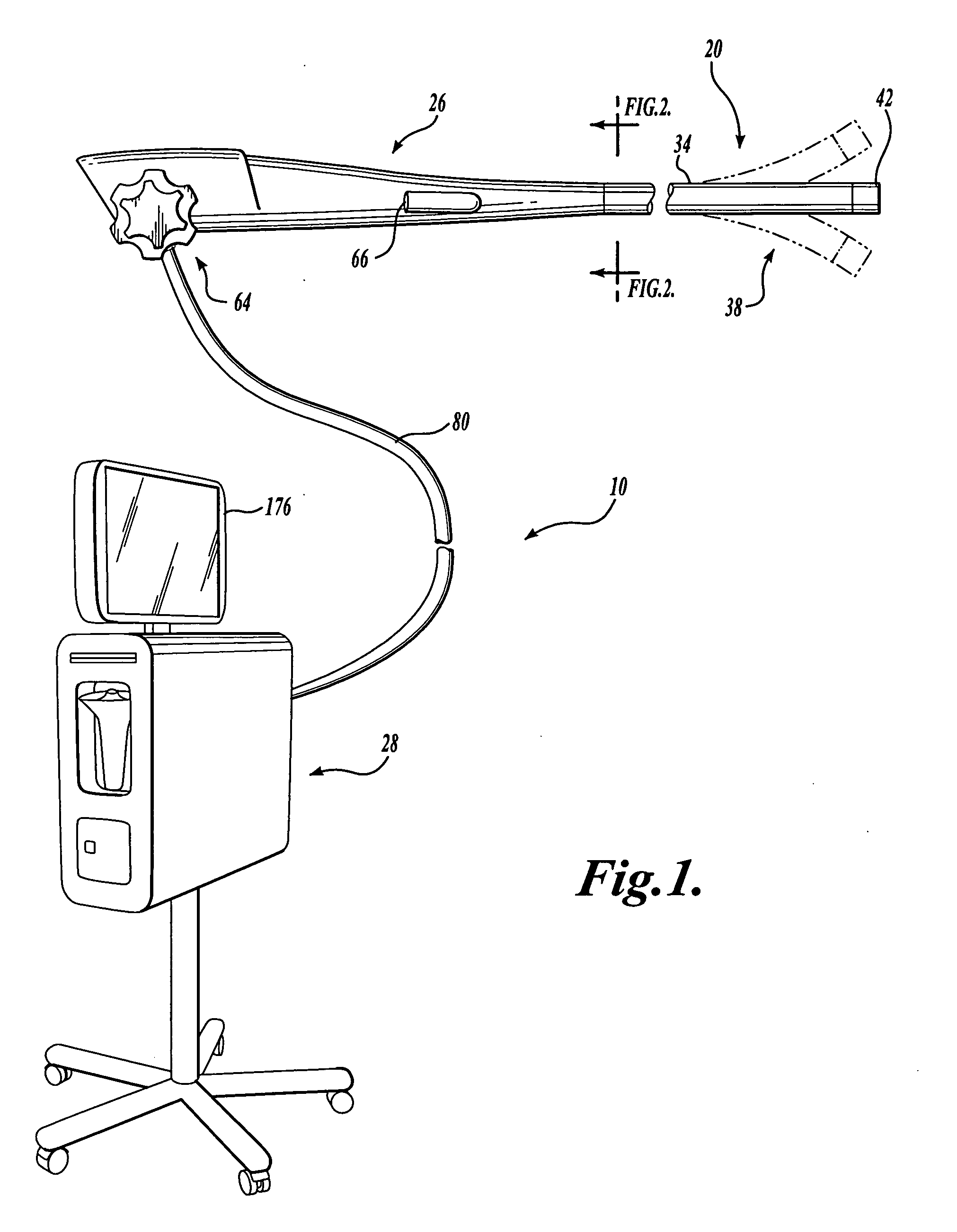 Endoscopic system with integrated patient respiratory status indicator