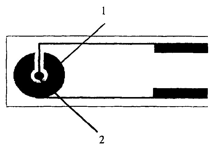 Biological testing strip