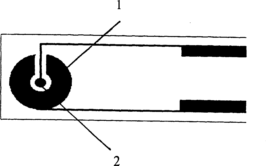 Biological testing strip