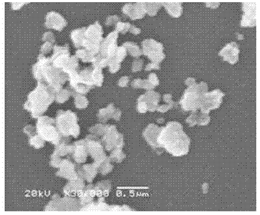 Method for producing gadolinium vanadate thulium blue luminescent material modified by glucose