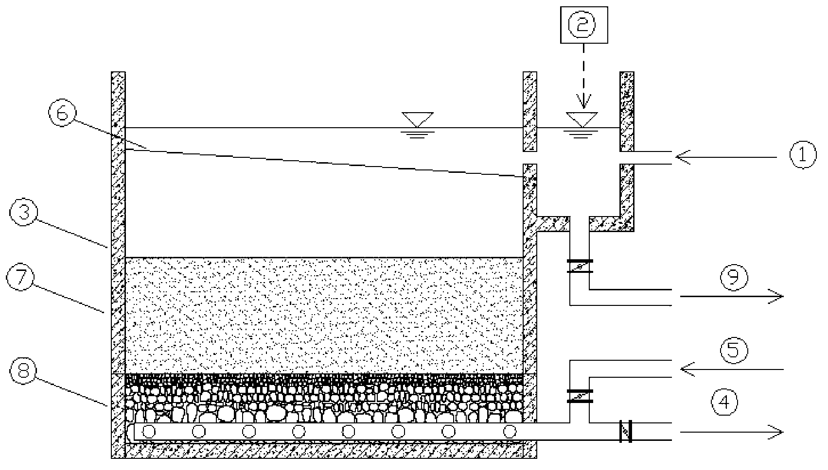 Method for biologically treating cadmium-containing wastewater