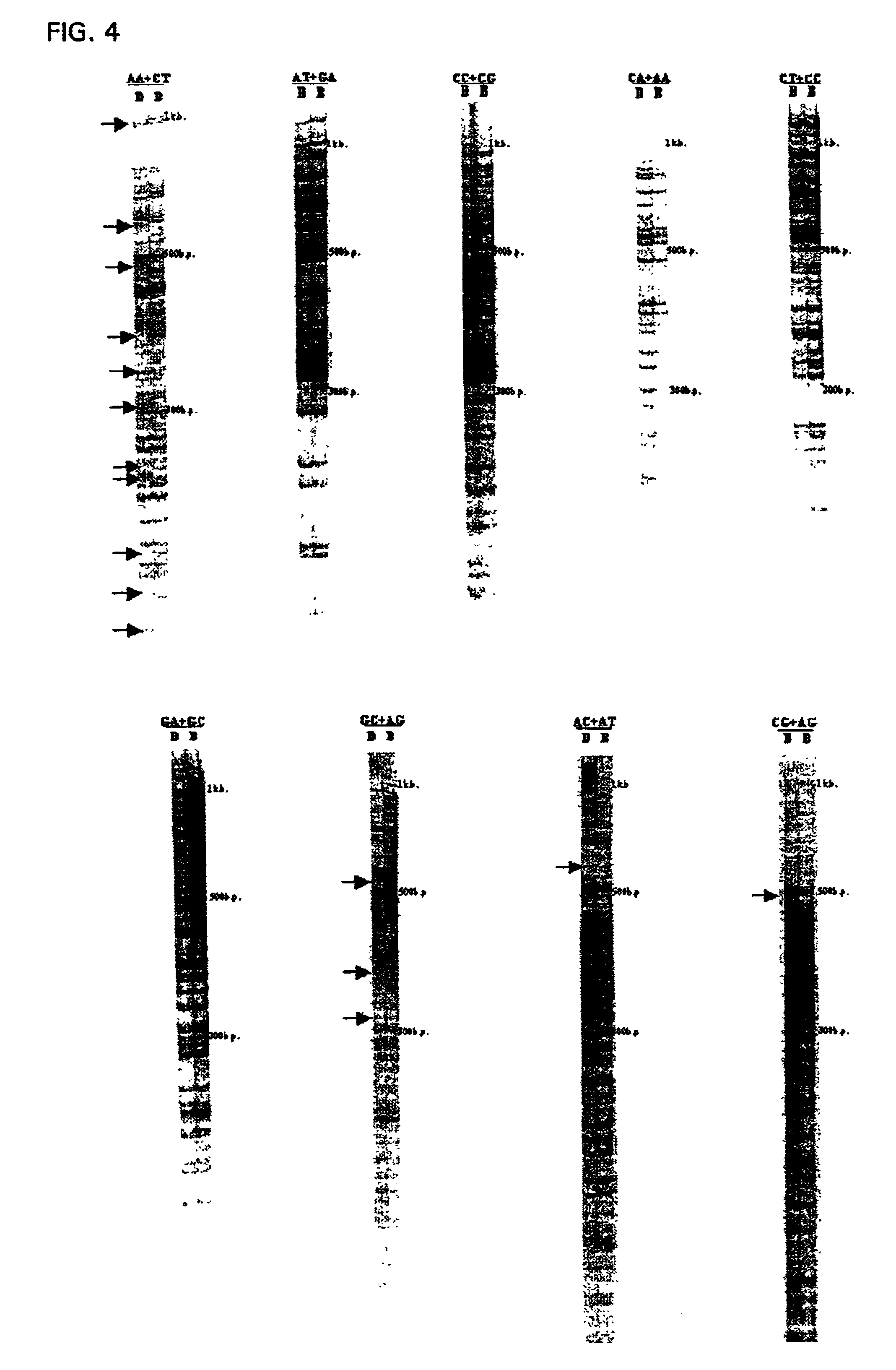 Polymerase chain reaction of DNA of which base sequence is completely unidentified