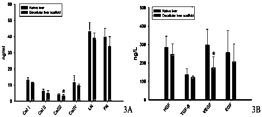 A rapid preparation method of decellularized single-lobe liver bioscaffold