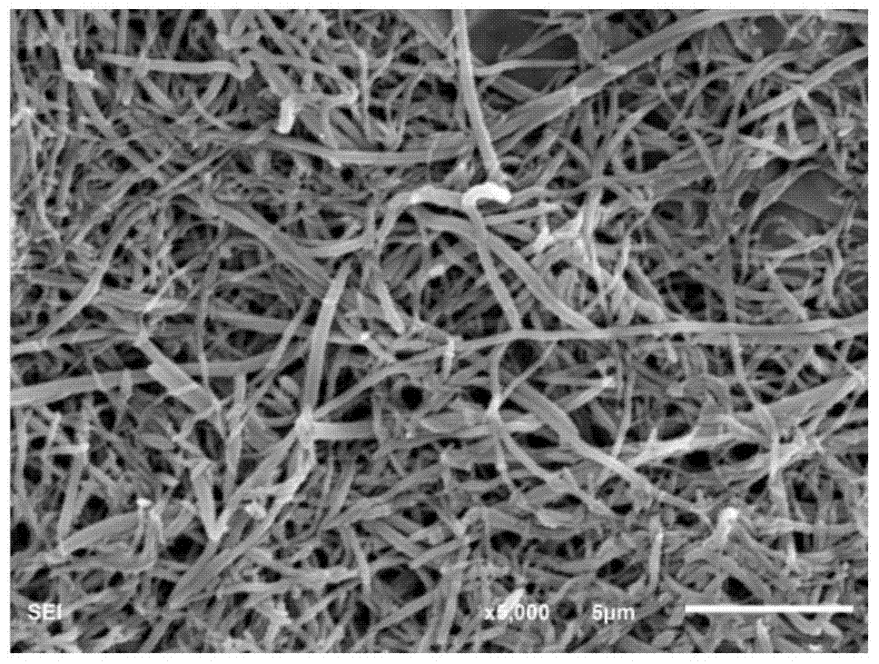 A nickel nanofiber membrane for membrane catalysis and preparation method thereof