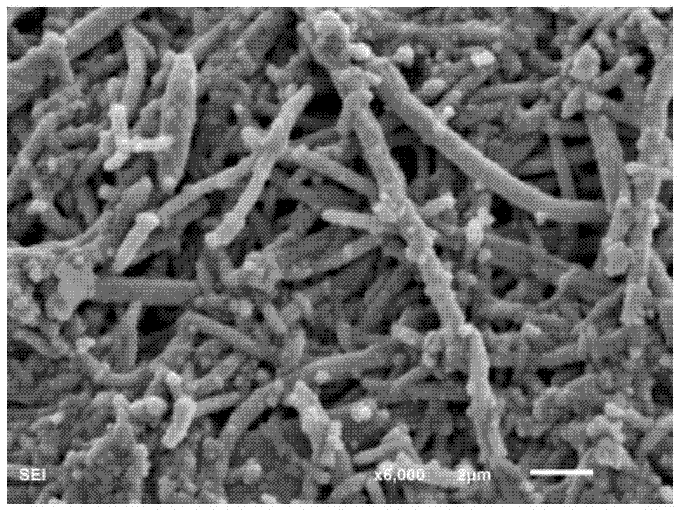 A nickel nanofiber membrane for membrane catalysis and preparation method thereof