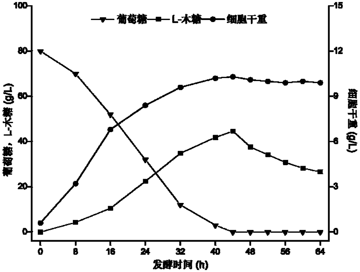 Recombinant proteus pseudomonadaceae for producing L-xylose and application thereof