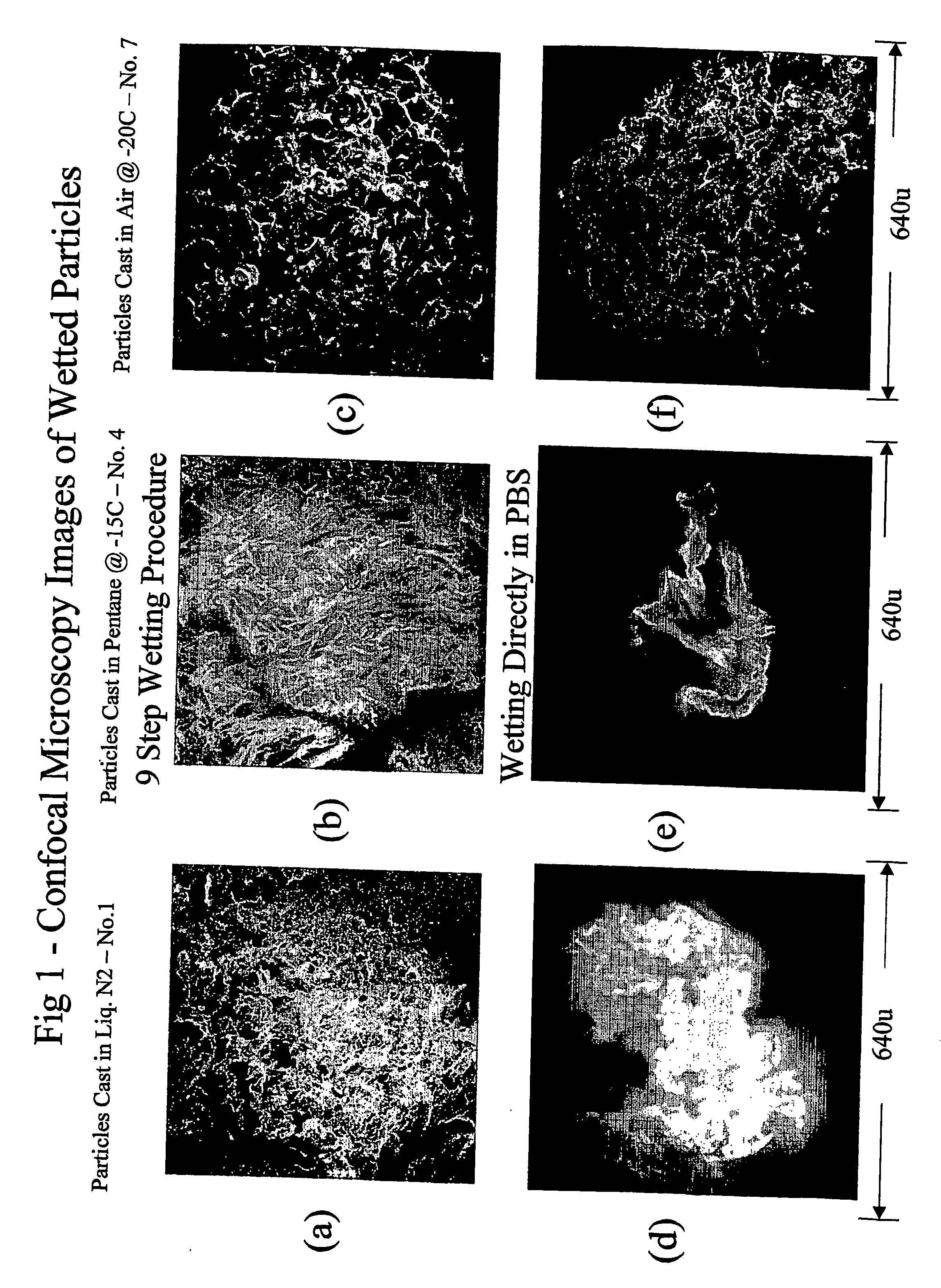 Porous particulate collagen sponges