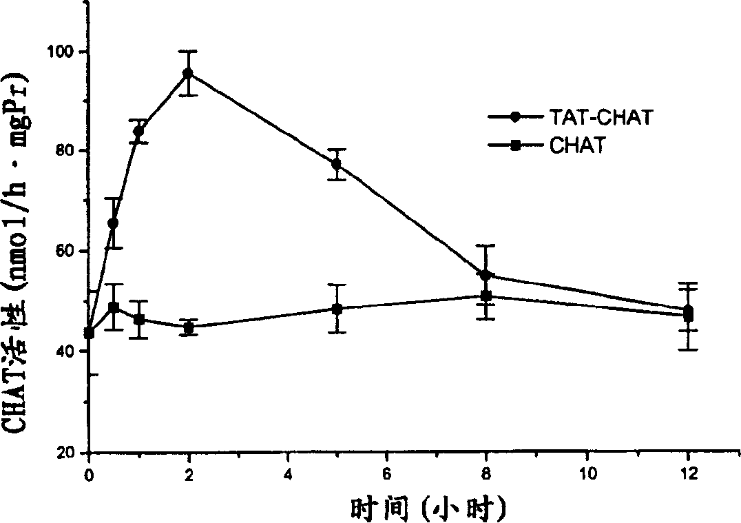 Transduction peptide-humanized chloine acetylase fusion protein and its use