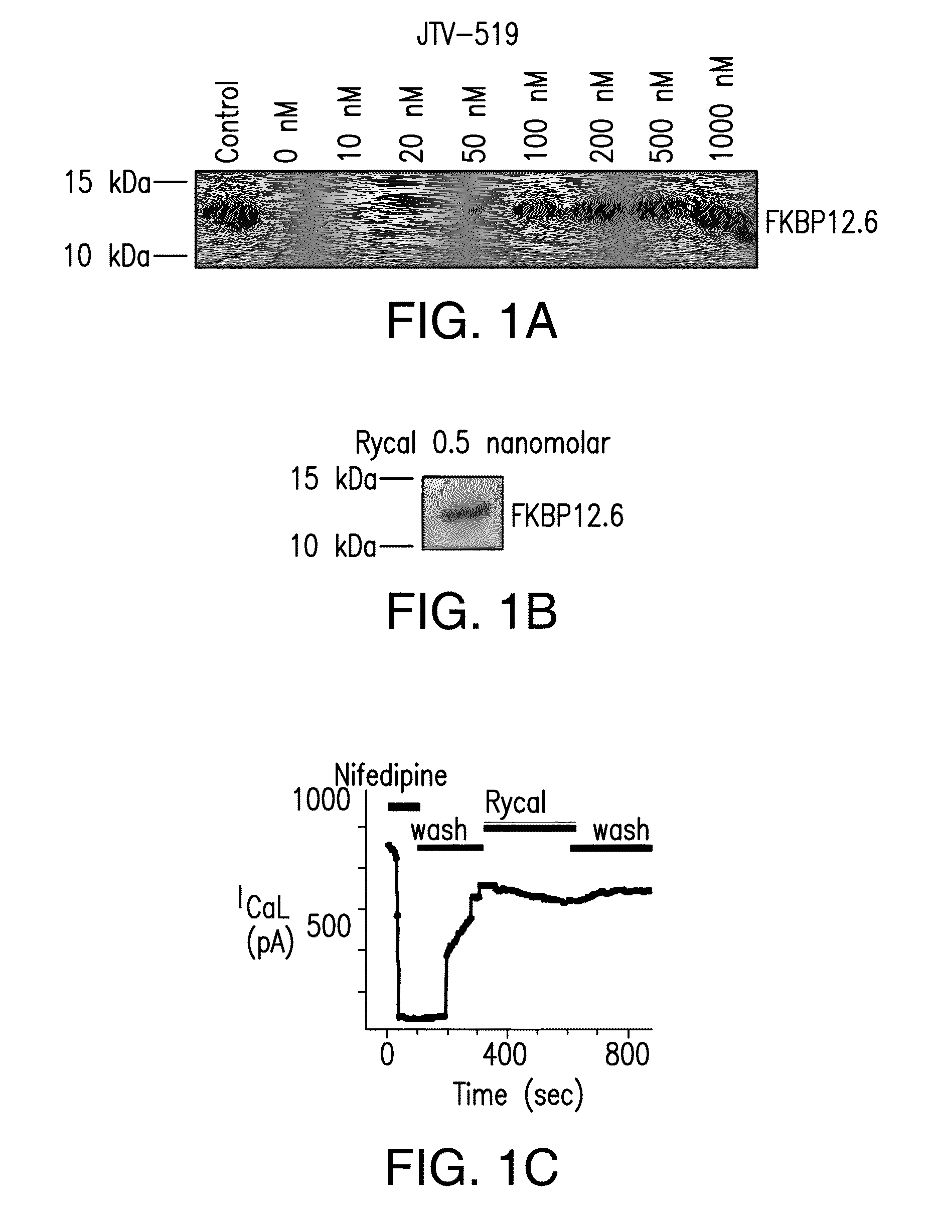 Agents for preventing and treating disorders involving modulation of the ryanodine receptors