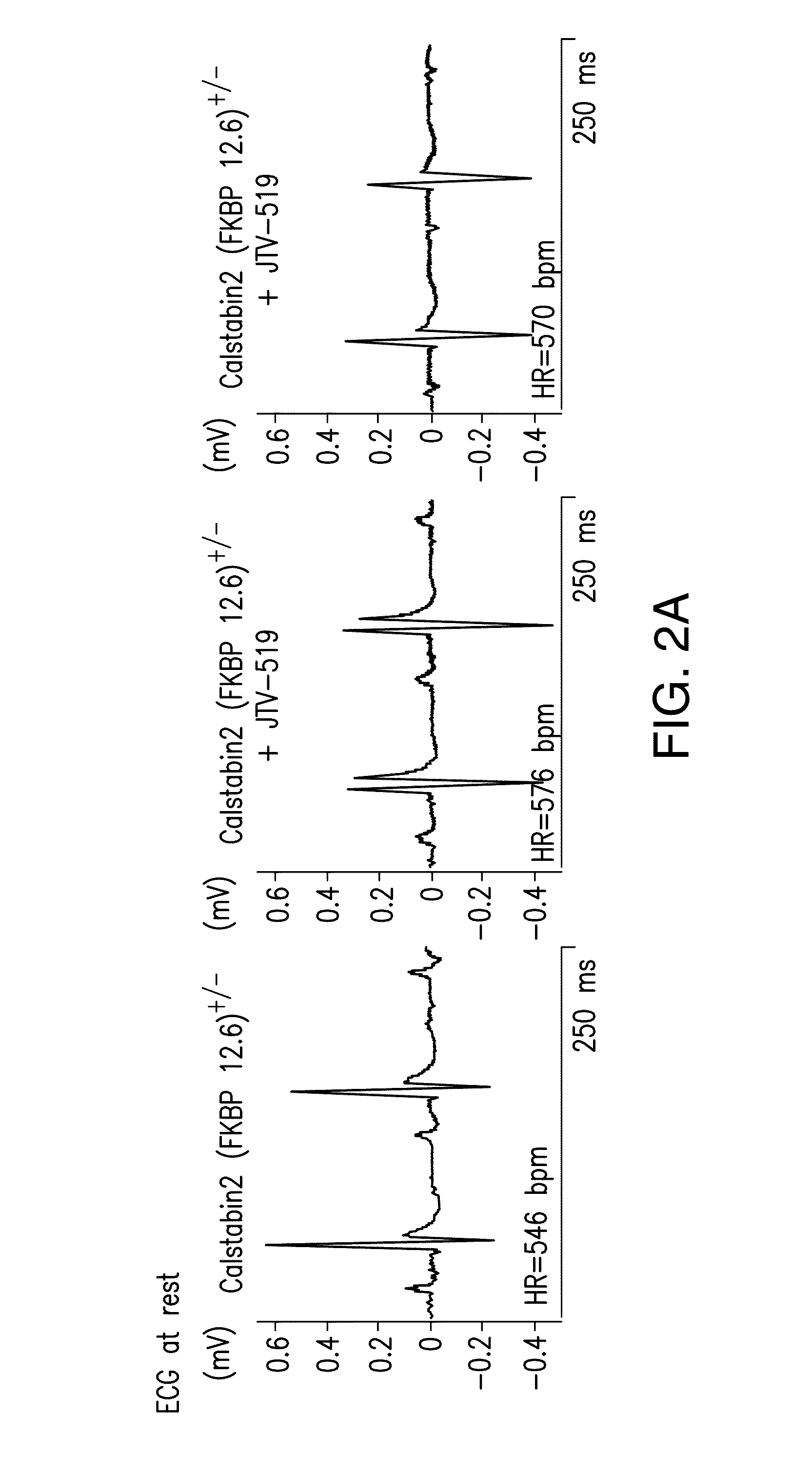 Agents for preventing and treating disorders involving modulation of the ryanodine receptors