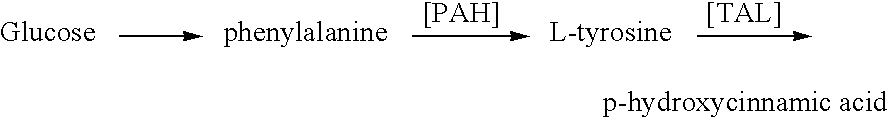 Methods for the production of tyrosine, cinnamic acid and para-hydroxycinnamics acid