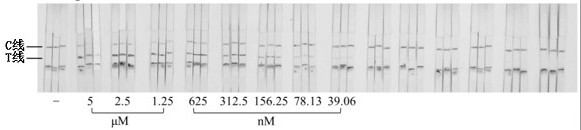 Paper-based detection method for exosome