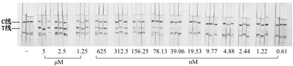 Paper-based detection method for exosome