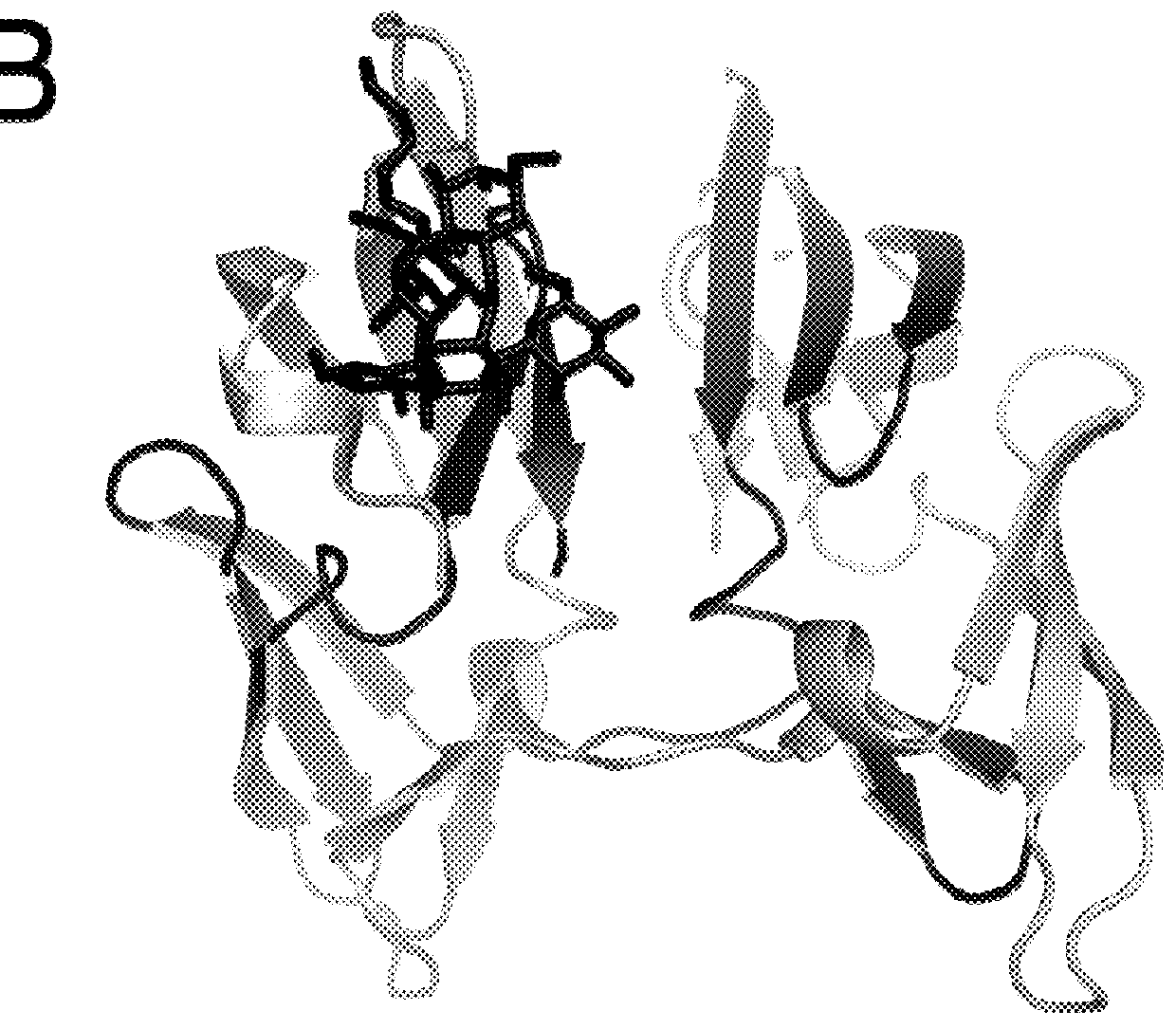 Engineered lectin oligomers with antiviral activity