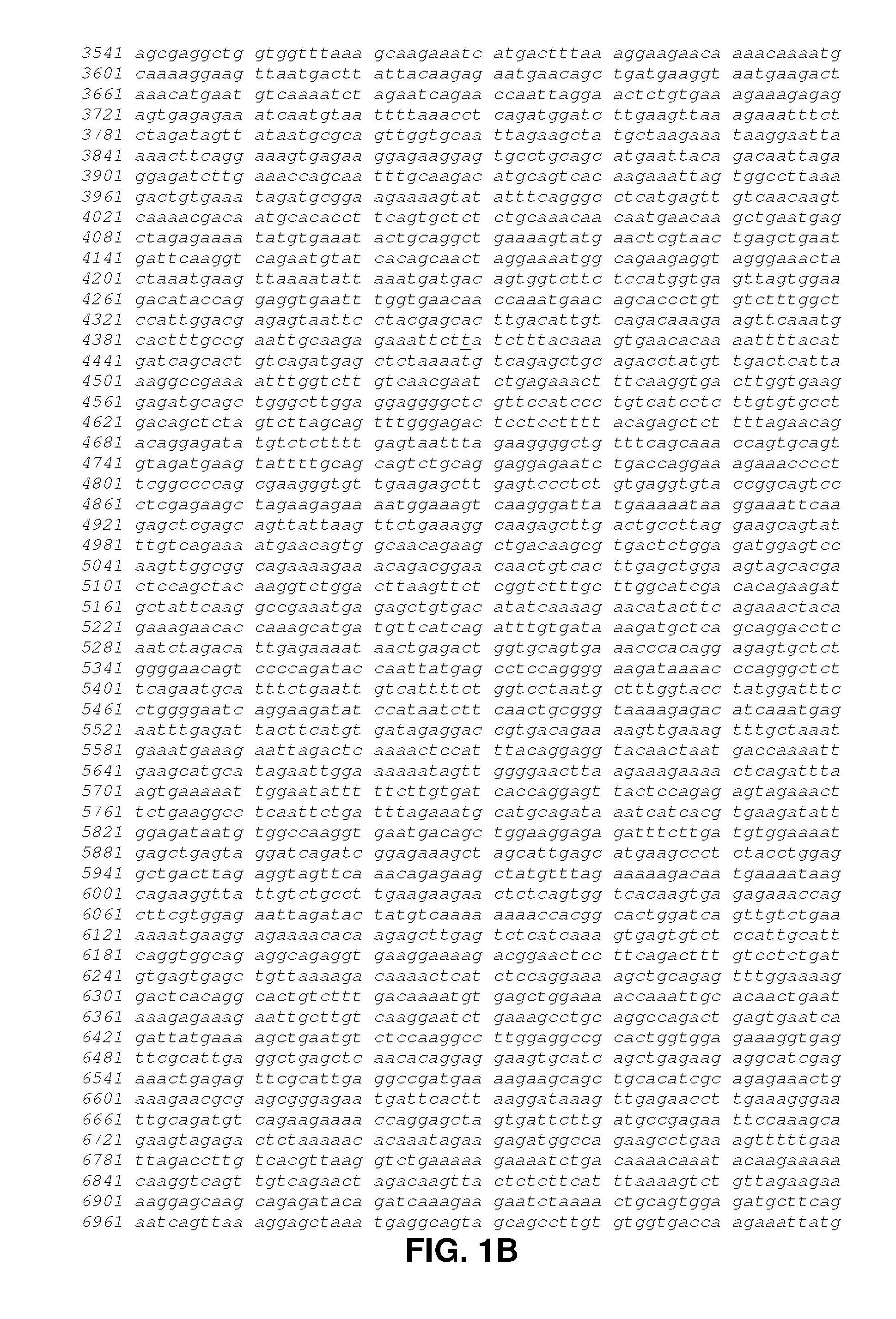 Method for identifying novel minor histocompatibility antigens