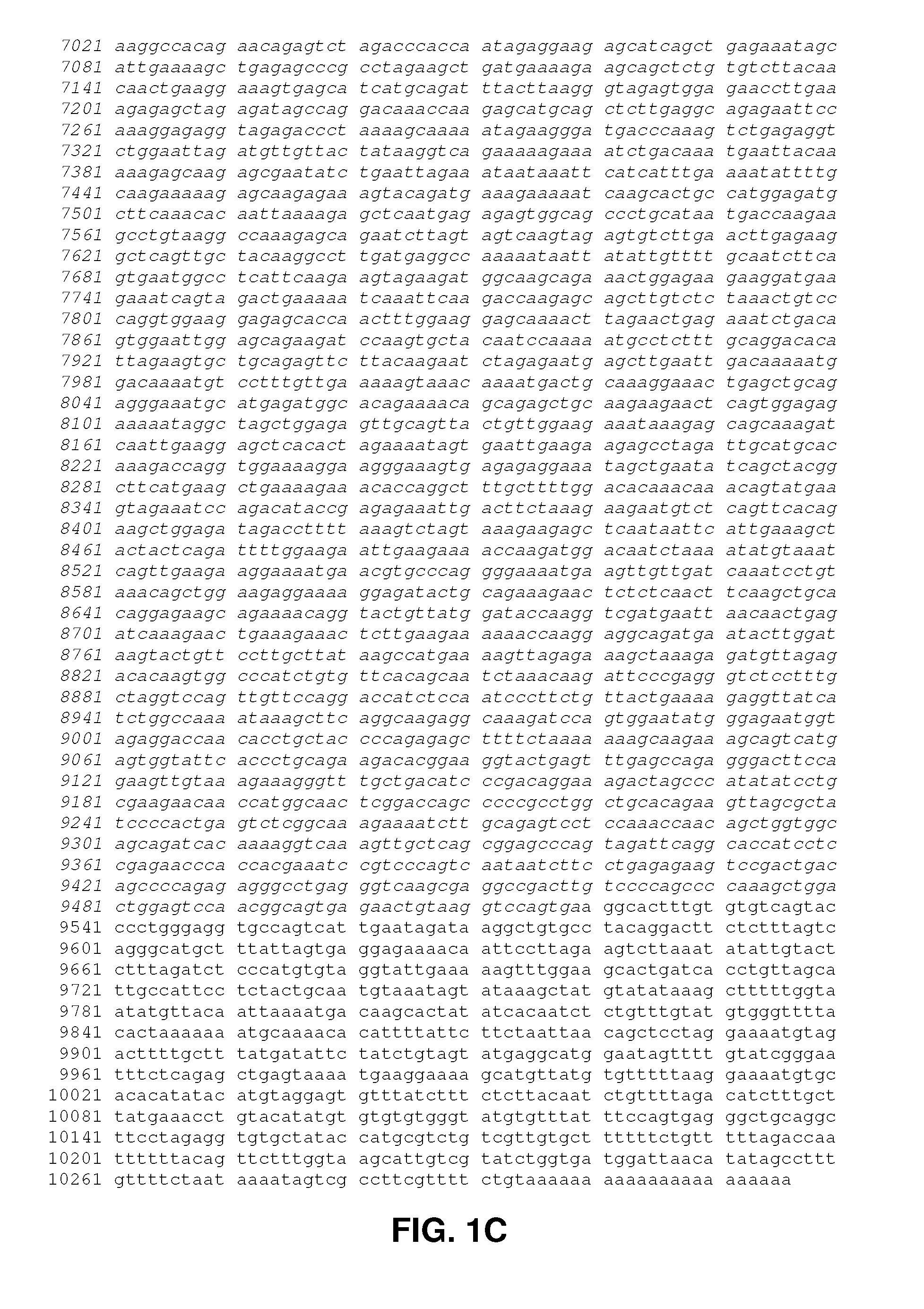 Method for identifying novel minor histocompatibility antigens