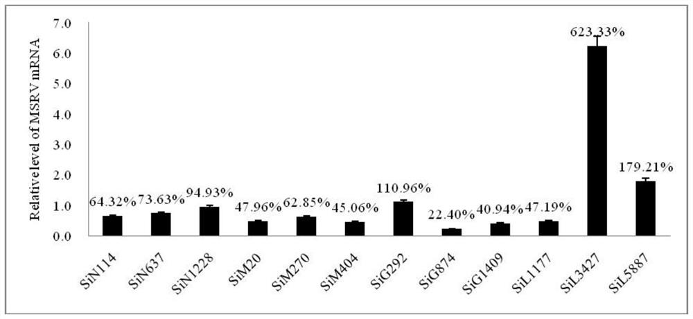 ShRNA for inhibiting replication of micropterus salmoides rhabdovirus and application of shRNA