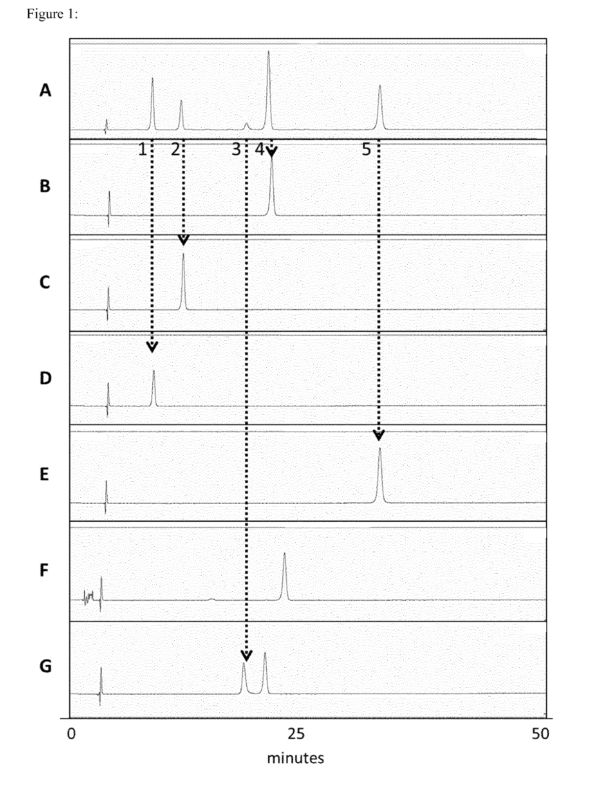 RNA analysis by total hydrolysis