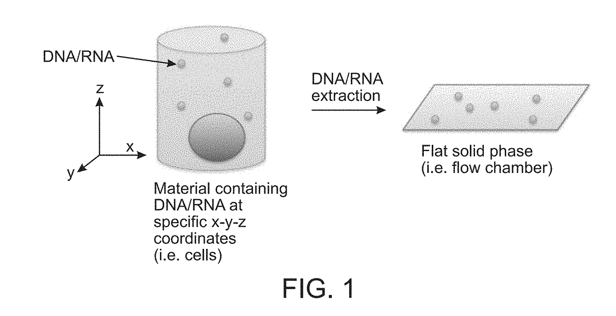 Method for Generating A Three-Dimensional Nucleic Acid Containing Matrix