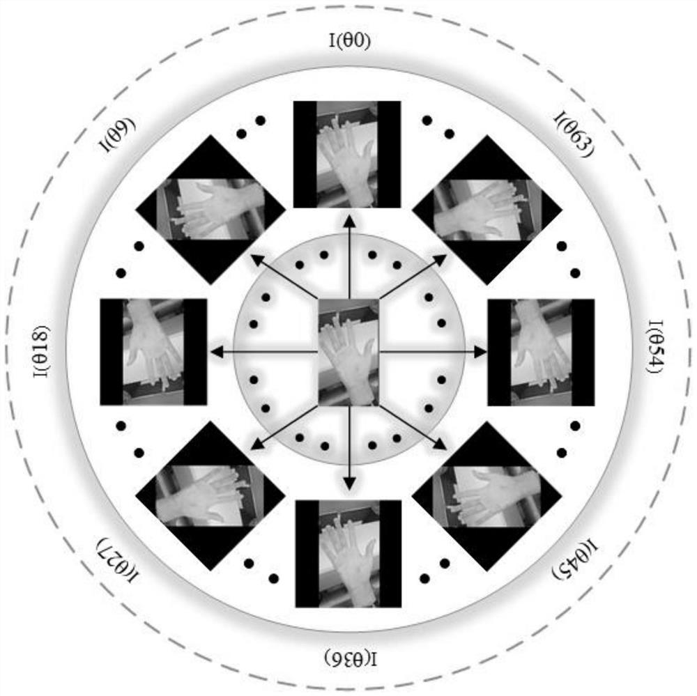 Rotating palm image detection method