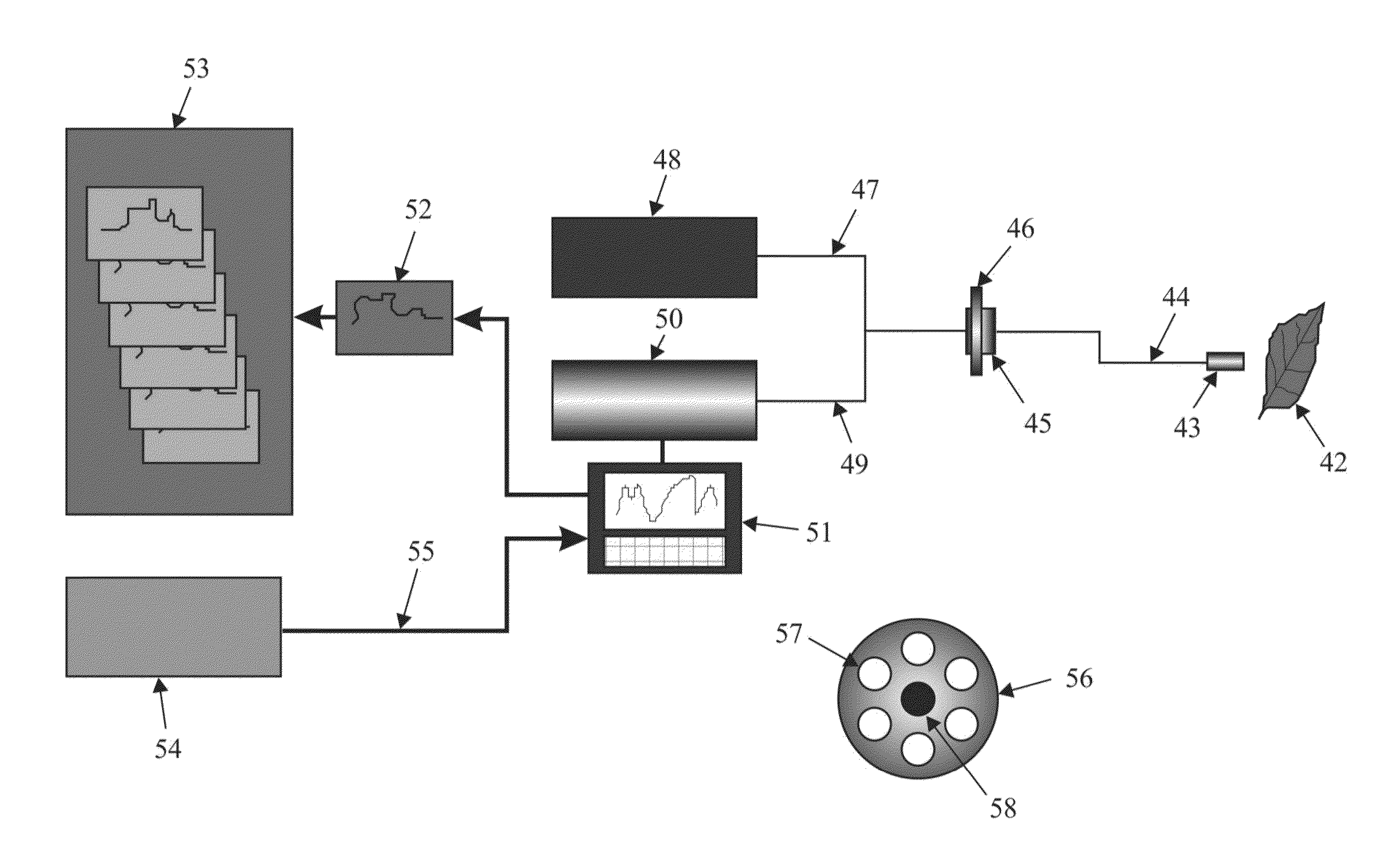 Method, apparatus and system for diagnosis of stress and disease in higher plants