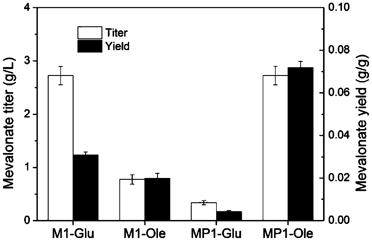 Method for positioning and synthesizing terpenoids by means of Yarrowia lipolytica way