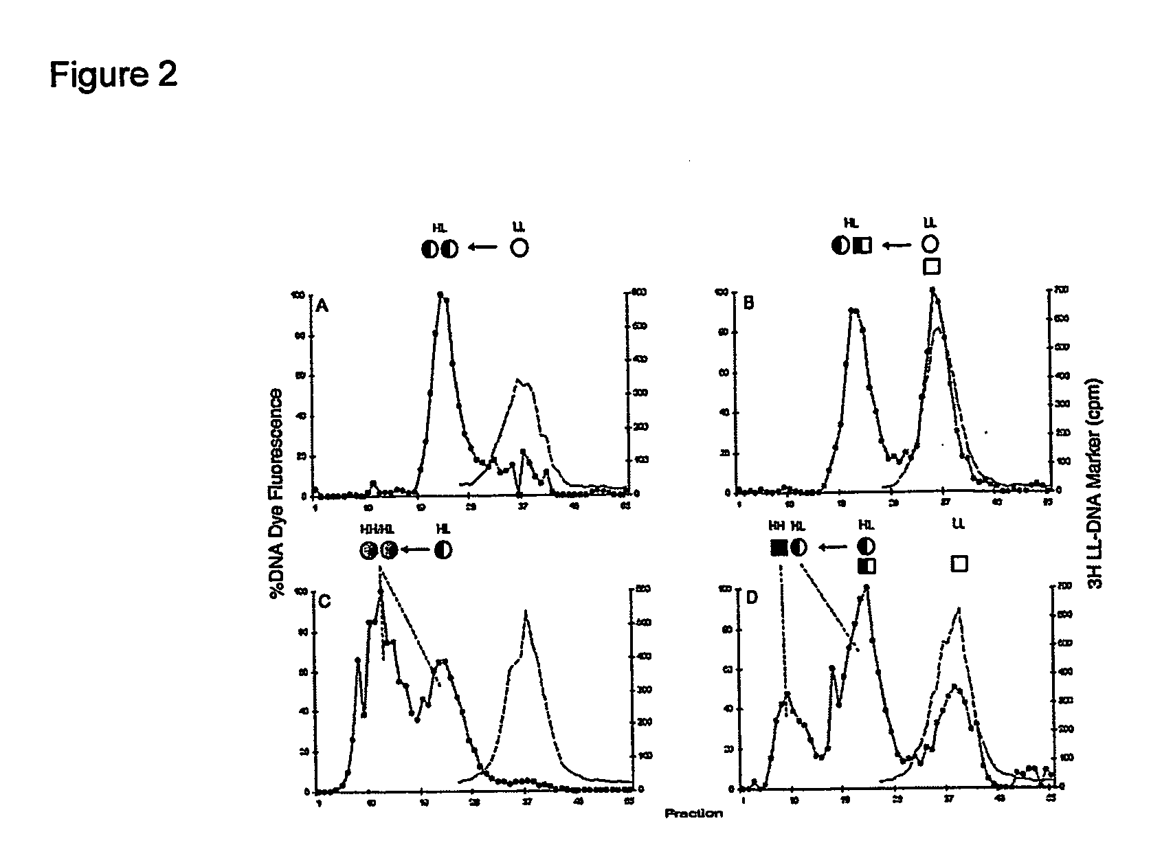 Unique properties of a stem cells