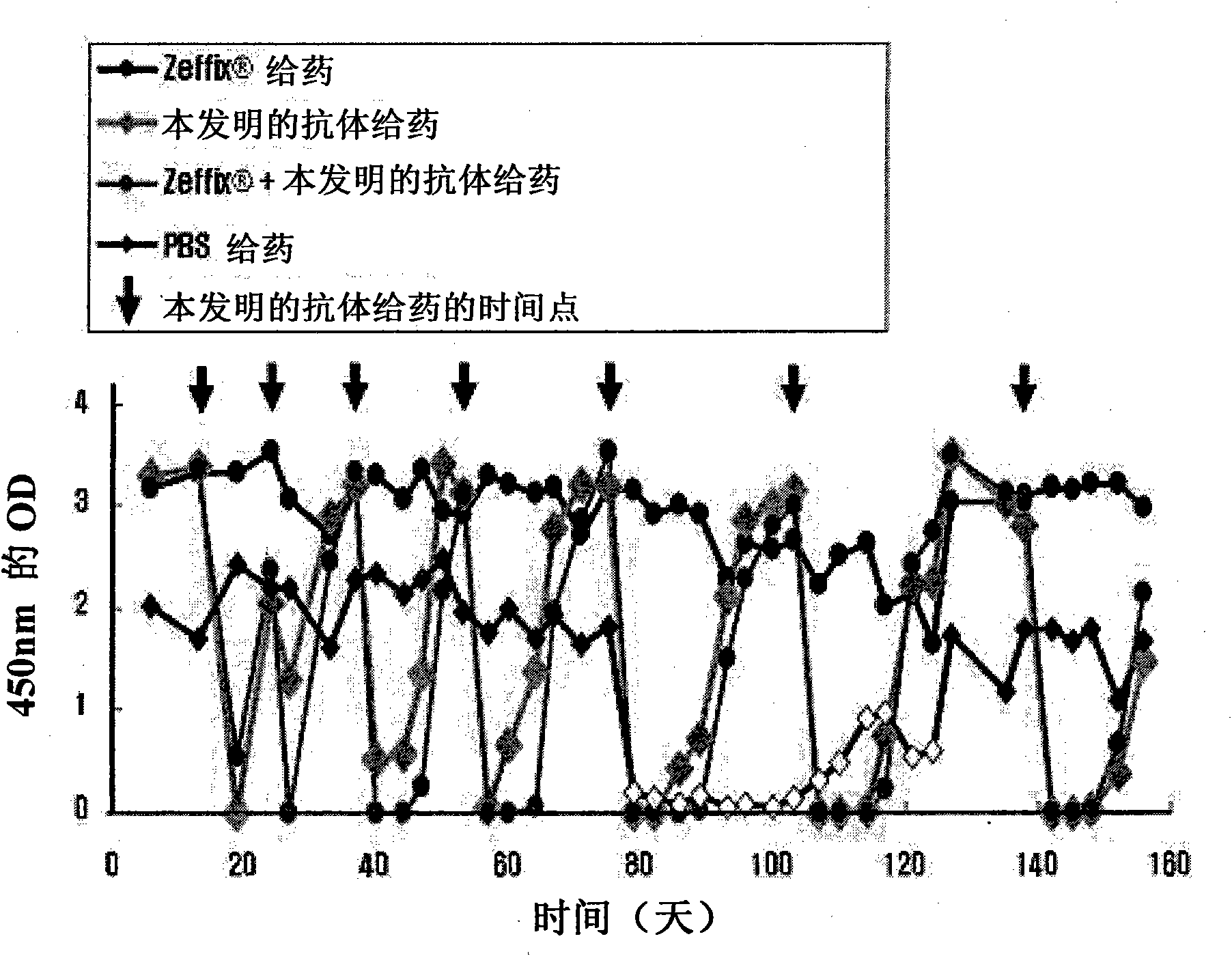 Use of human antibody capable of neutralizing hepatitis b virus for the prevention or treatment of hepatitis b virus infection