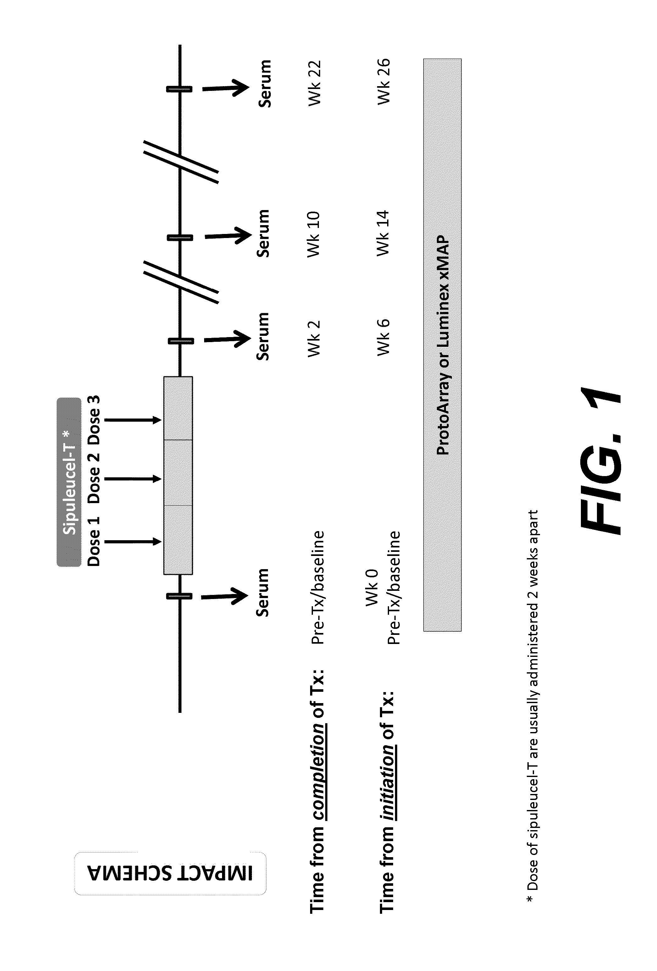 Humoral immune response against tumor antigens after treatment with a cancer antigen specific active immunotherapy and its association with improved clinical outcome