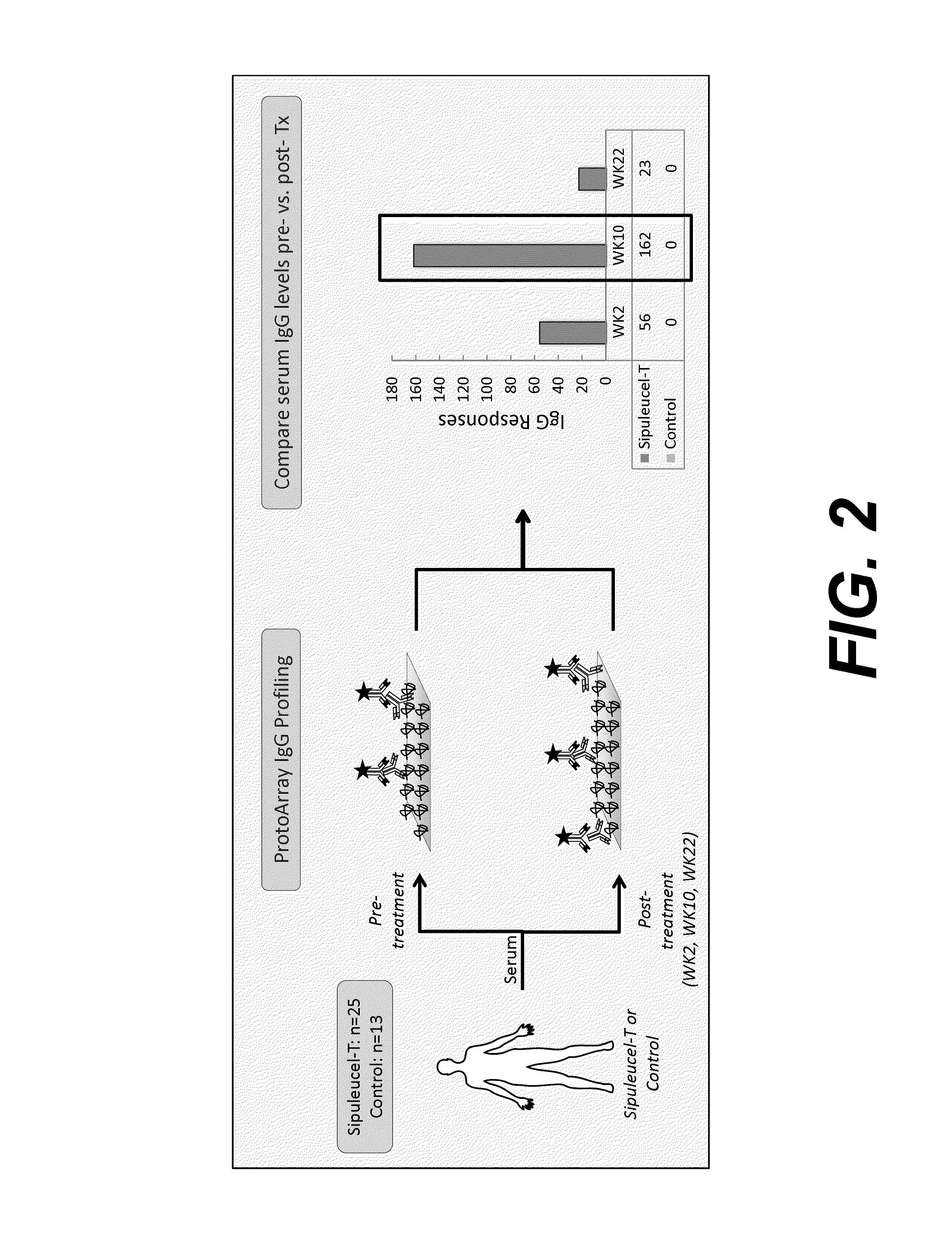 Humoral immune response against tumor antigens after treatment with a cancer antigen specific active immunotherapy and its association with improved clinical outcome