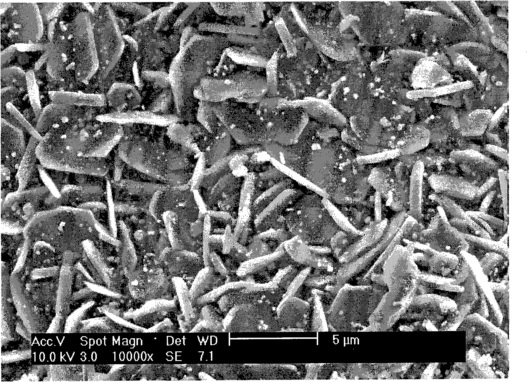 Acetate doping natrium cobaltite thermoelectric materials and preparation method thereof