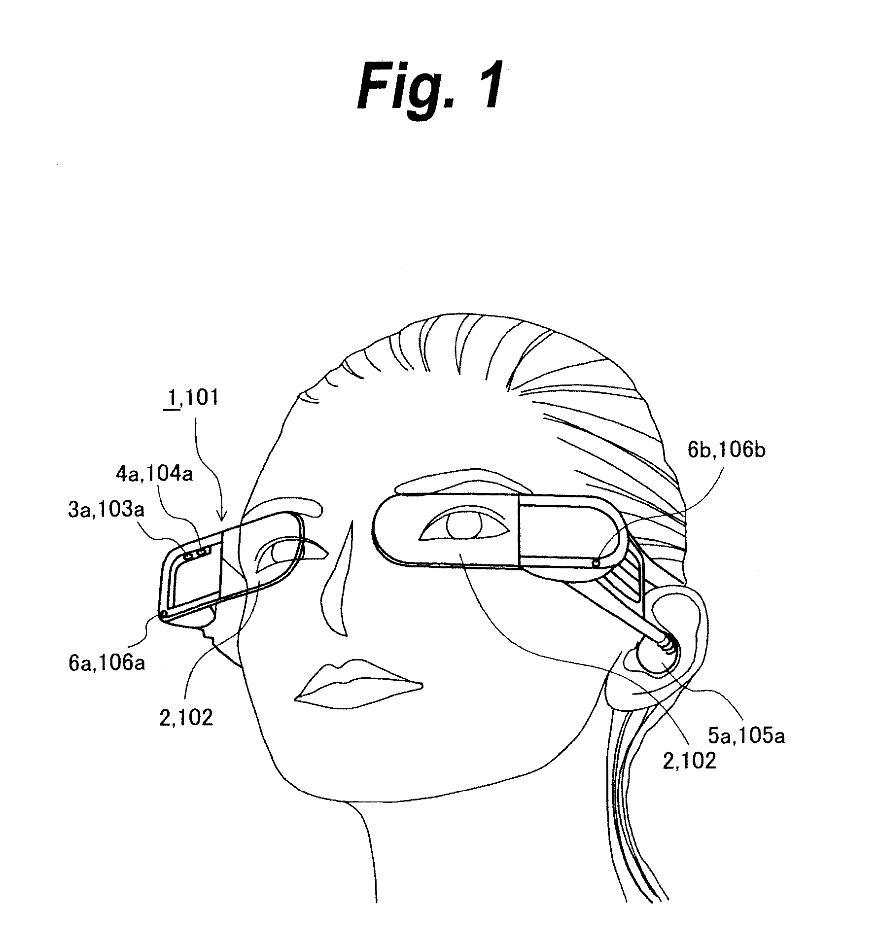 Image capturing and displaying apparatus and image capturing and displaying method