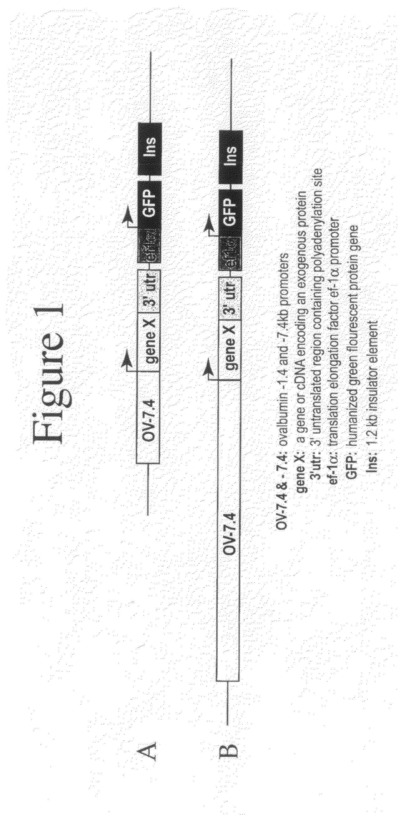 Glycosylated interferon alpha