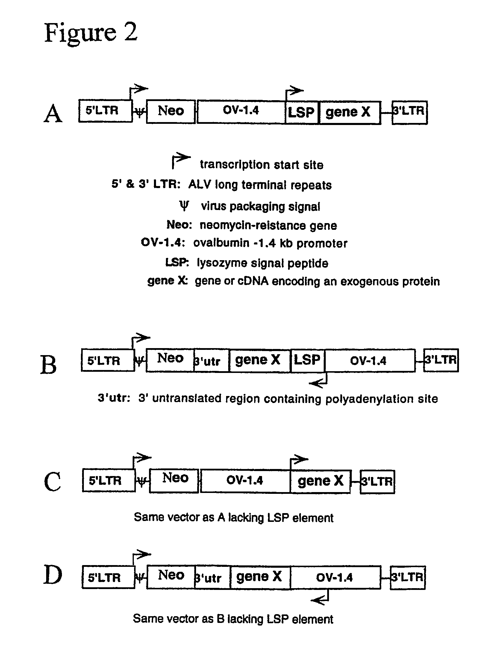 Glycosylated interferon alpha