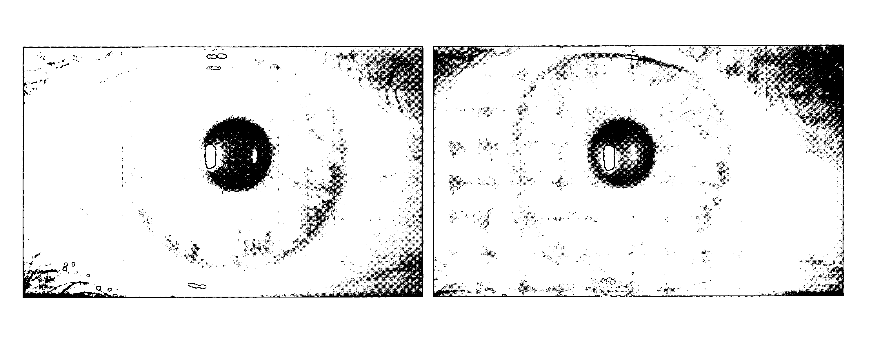 Soft contact lenses displaying superior on-eye comfort